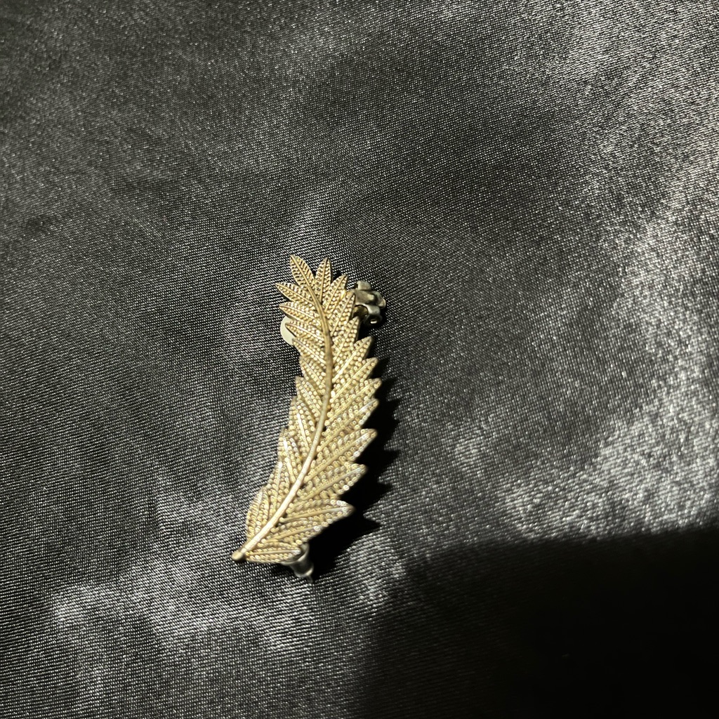 Earring Cuff/Earring